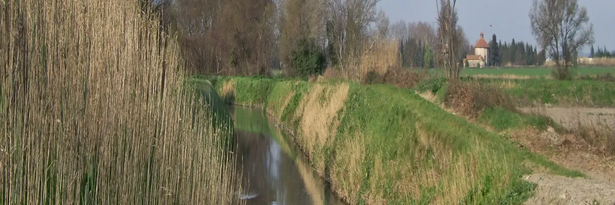image-installation-carport-solaire-saint-etienne-du-gres.webp Image Installation carport solaire Saint-Étienne-du-Grès