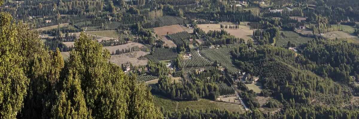 image-installation-carport-solaire-saint-remy-de-provence.webp Image Installation carport solaire Saint-Rémy-de-Provence