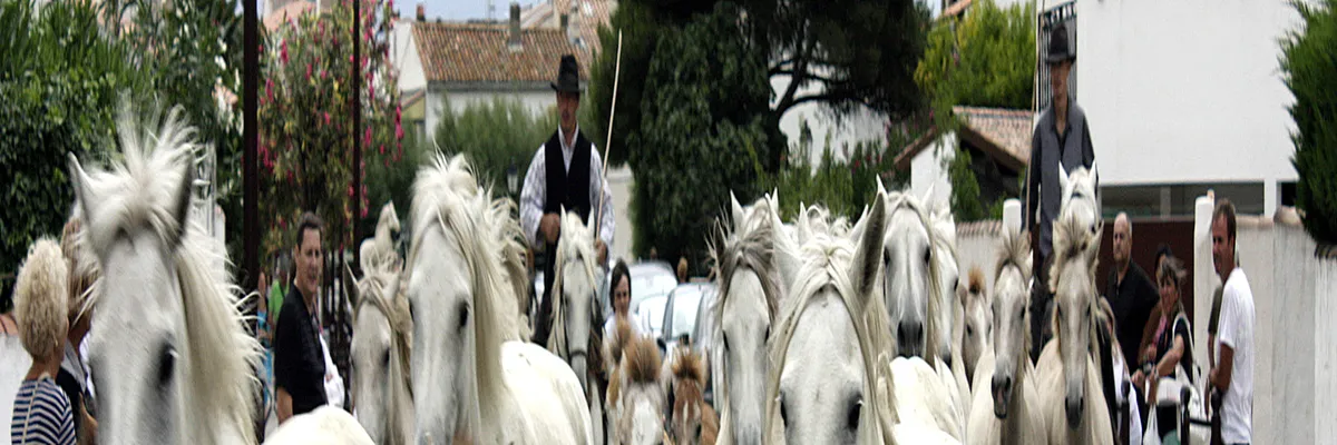 image-installation-carport-solaire-saintes-maries-de-la-mer.webp Image Installation carport solaire Saintes-Maries-de-la-Mer